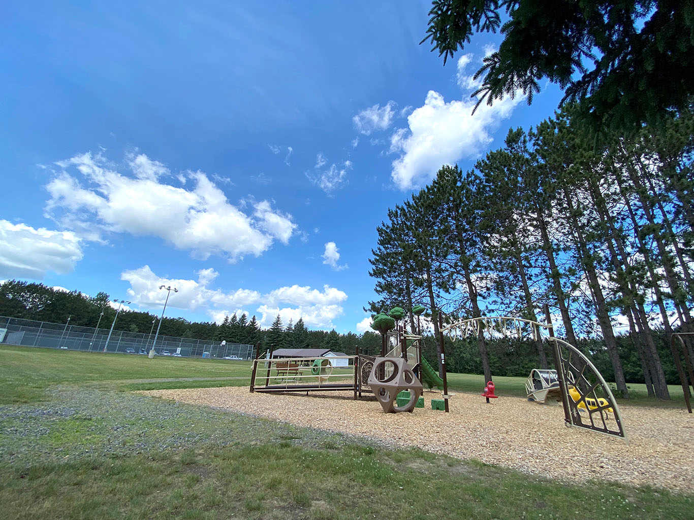 Image shows a playground with towering pine trees in the background.