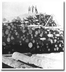 Image shows three men standing on top of a large pile of logs.