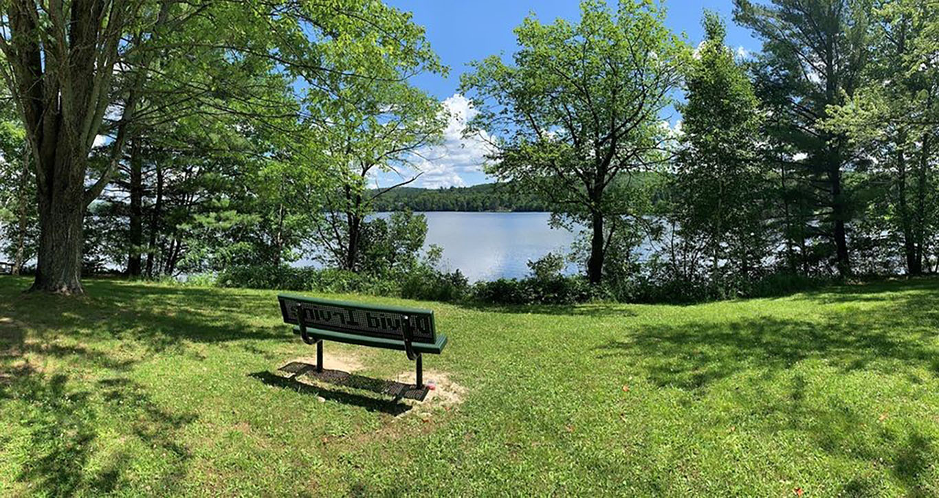Image shows bench overlooking a lake in a grassy clearning.