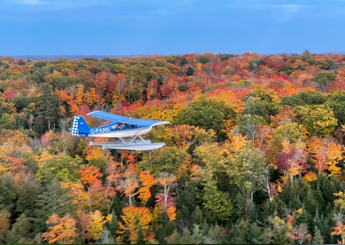 Image shows a small plane flying over a fall forest.