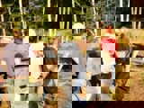 Image shows a group of people in hardhats lifting a large timber. 