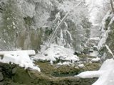 Image shows the ruins of the old log chute amid snow. 