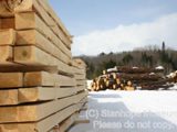 Image shows a pile of lumber. 