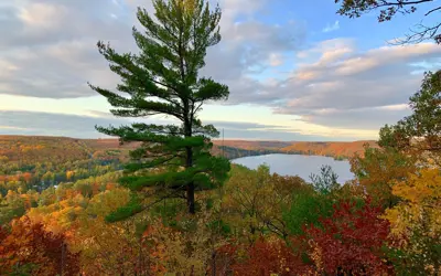 Image shows a fall vista. 