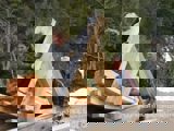 Image shows men working with large timbers. 