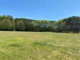 Image shows a grass field with mown lawn. 
