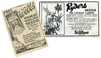 Image shows packets of old-fashioned gardening seeds.