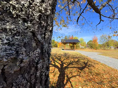 Image shows a gazebo with blue sky in the background and autumn leaves on the ground. 