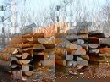 Image shows a pile of large logs. 