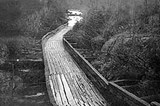 Image shows a black and white photo of the Hawk Lake Log Chute dating to 1920. 