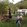 Image shows a fall display on the lawn of the Dorset Heritage Museum. 
