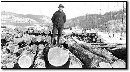 Image shows a man standing on a large pile of logs.