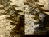 Image shows a black and white picture of the log chute with water flowing through it. 