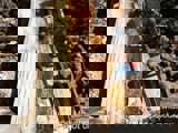 Image shows members of the construction team walking on the largely completed log chute. 